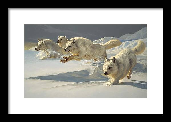 Wolf Wolf Pack Arctic Wolf Alpha Greg Beecham Wildlife Animal Painting Print Oil Painting Oil On Linen Framed Print featuring the painting The Chase by Greg Beecham