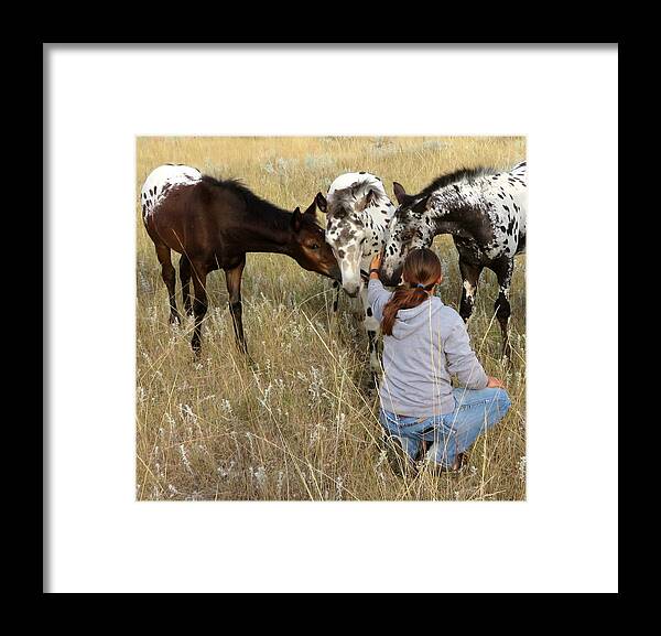 Appaloosa Framed Print featuring the photograph The Conversation by Katie Keenan