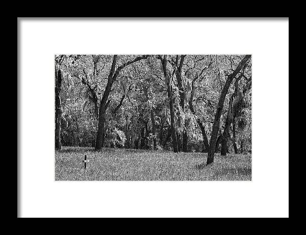 Cemetaries Framed Print featuring the photograph The Cross by Gina Cinardo