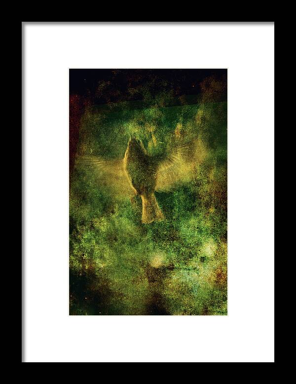 Bird Framed Print featuring the photograph The curious bird by Yasmina Baggili
