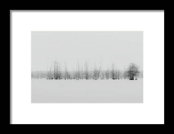 2021 Framed Print featuring the photograph The Cypress Trees of Lake Marion by Charles Hite