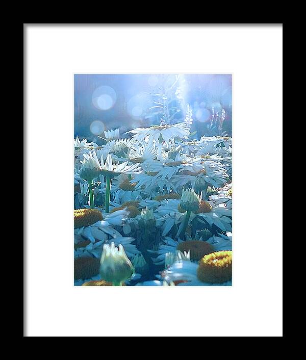 Cyan Bokeh Framed Print featuring the digital art The Daisy Sea by Artography Pamela Smale Williams