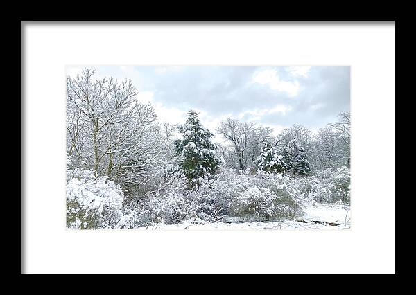 Winter Framed Print featuring the photograph The Dance of Winter by Kerri Farley