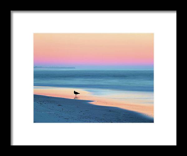 Beach Framed Print featuring the photograph The Day Begins by JC Findley