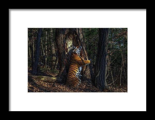 00643873 Framed Print featuring the photograph The Embrace by Sergey Gorshkov