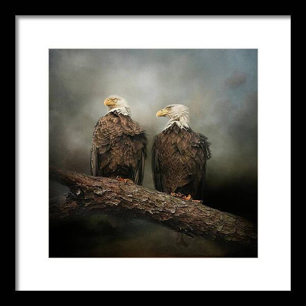 Bald Eagles Framed Print featuring the photograph The End Of The Storm by Jai Johnson