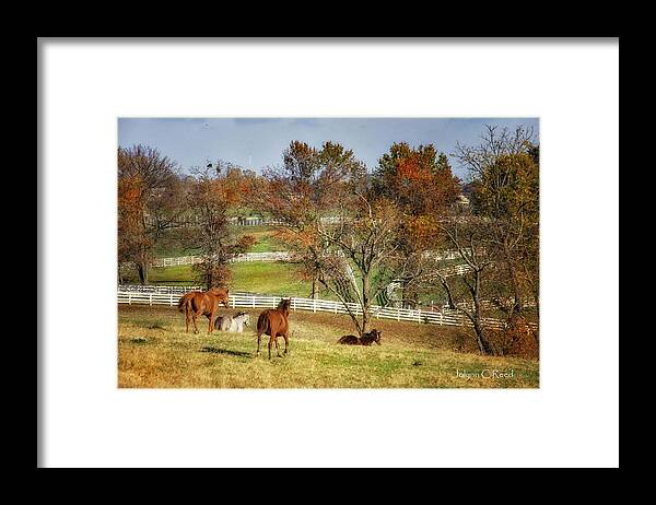Fences Framed Print featuring the photograph The Fences by Jolynn Reed