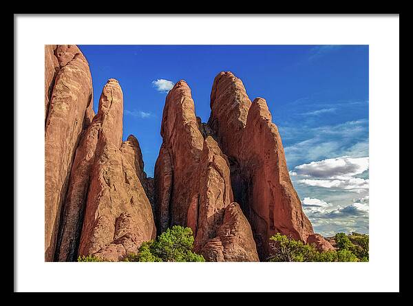 Landscape Framed Print featuring the photograph The Fins at Arches NP by Tommy Farnsworth