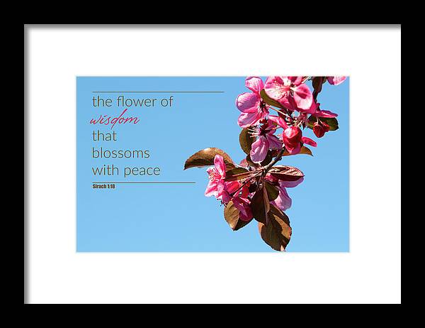 Malus Spectabilis Framed Print featuring the photograph The flower of wisdom by Viktor Wallon-Hars