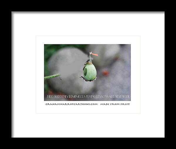 Birds Framed Print featuring the digital art The Flying Lesson by Graham Harrop