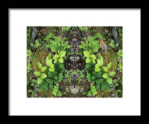 Nature Framed Print featuring the photograph The Forest Floorist #1 with Critters by Ben Upham III