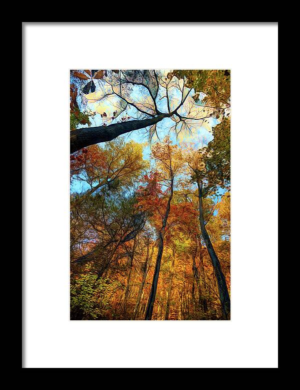 Clouds Framed Print featuring the photograph The Forest's Embrace Painting by Debra and Dave Vanderlaan