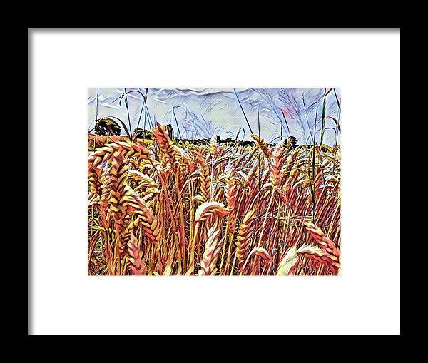 Yellow Framed Print featuring the mixed media The golden fields by Don Ravi