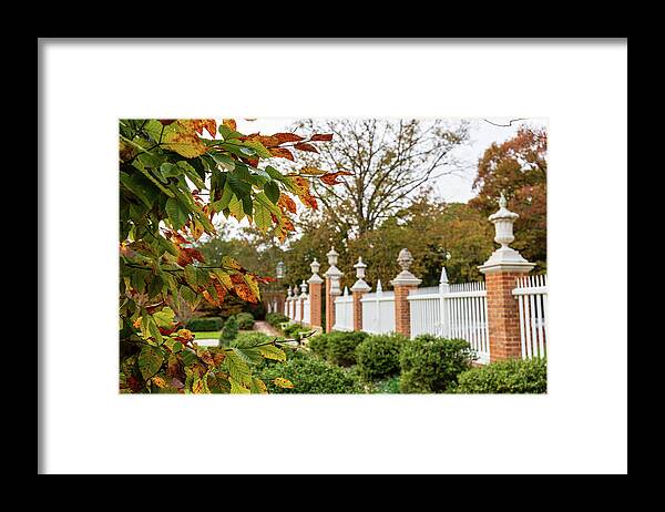 Colonial Williamsburg Framed Print featuring the photograph The Governor's Gardens in Fall by Rachel Morrison