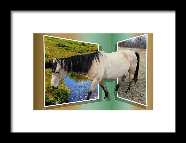 Horse Framed Print featuring the photograph The Grass Is Always Greener On The Other Side by Shane Bechler