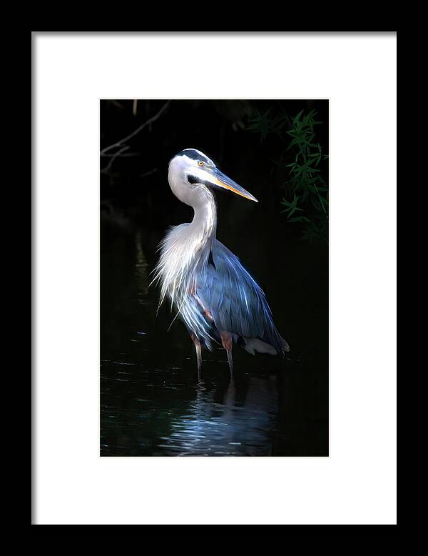 Great Blue Heron Framed Print featuring the photograph The Great Heron by Mark Andrew Thomas