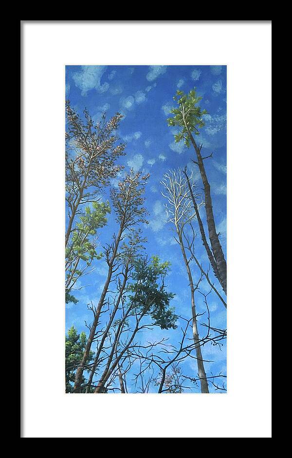 Trees Framed Print featuring the painting The Heights by Don Morgan