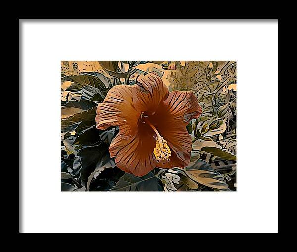Hibiscus Framed Print featuring the photograph The hibiscus by Steven Wills