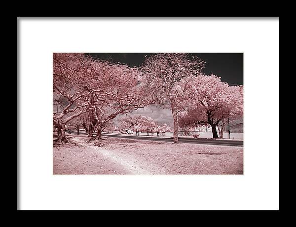 Infrared Photography Framed Print featuring the photograph The Highway and The Byway by Gian Smith