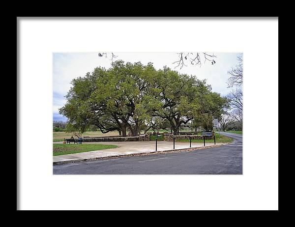 Cemetery Framed Print featuring the photograph The Johnson Cemetery by Buck Buchanan