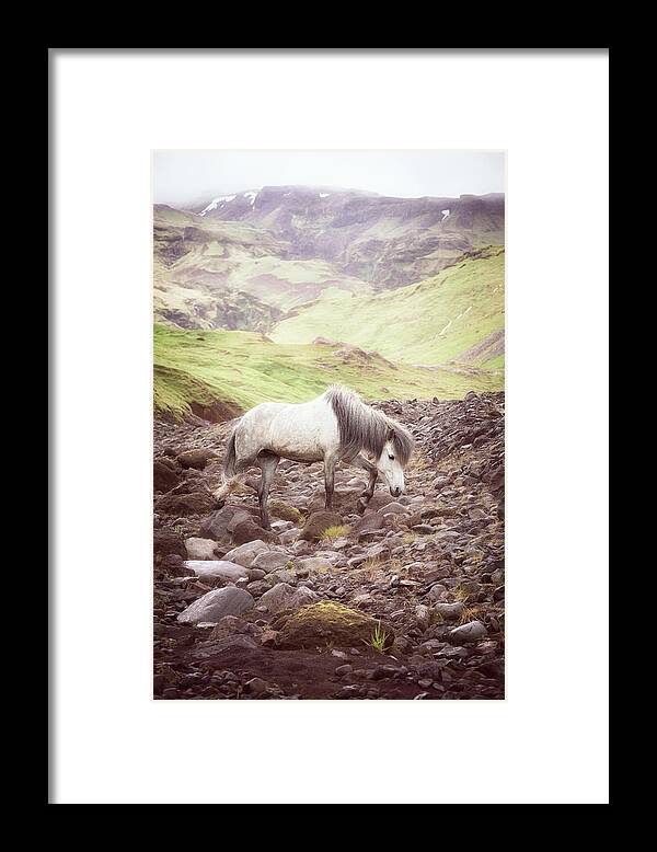 Photographs Framed Print featuring the photograph The Journey - Horse Art by Lisa Saint