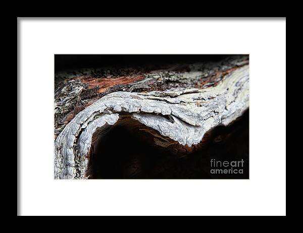 Abstracts Framed Print featuring the photograph The Journey by Marilyn Cornwell