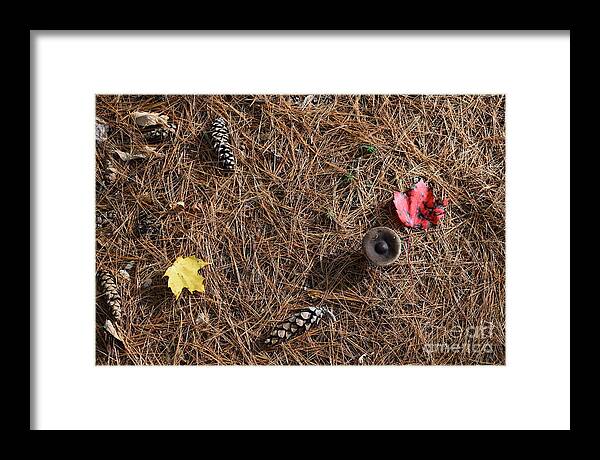 Pine Needles Framed Print featuring the photograph The Last Pieces Of Autumn by Fantasy Seasons