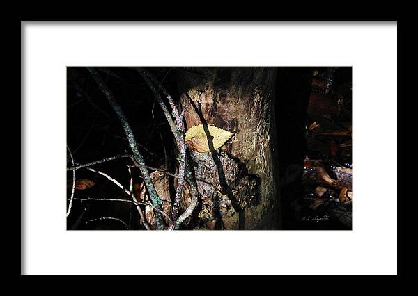 Leaf Framed Print featuring the pyrography The Leaf by Allen L Improta