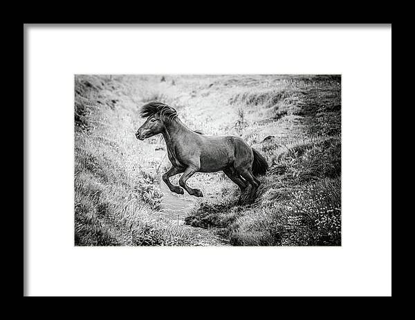 Photographs Framed Print featuring the photograph The Leap II - Horse Art by Lisa Saint