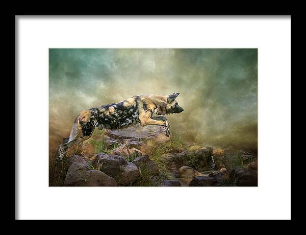 African Wild Dog Framed Print featuring the digital art The Leap by Nicole Wilde