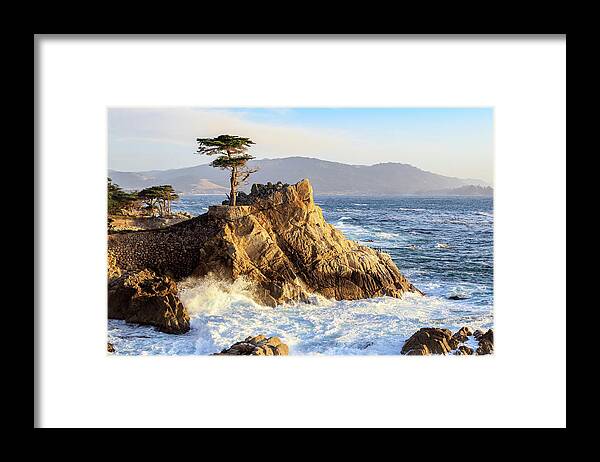 Ngc Framed Print featuring the photograph The Lone Cypress by Robert Carter