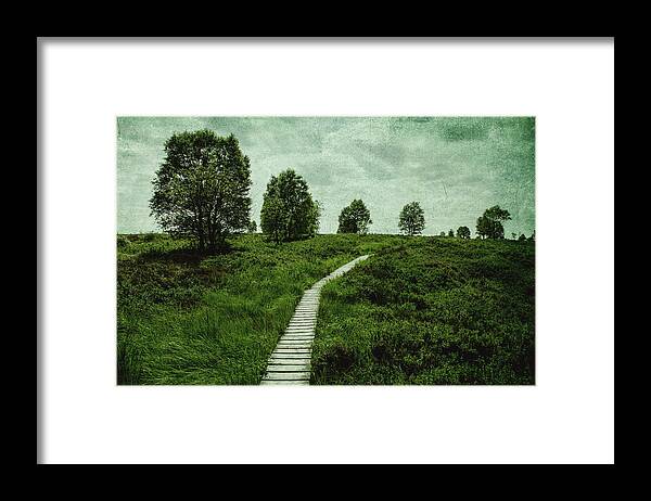 Land Framed Print featuring the photograph The long path by Yasmina Baggili