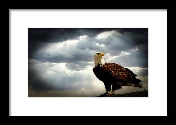 Eagle Framed Print featuring the photograph The Lookout by G Lamar Yancy