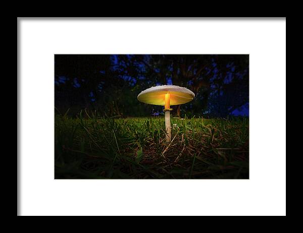 Mushroom Framed Print featuring the photograph The Magic Mushroom by Mark Andrew Thomas