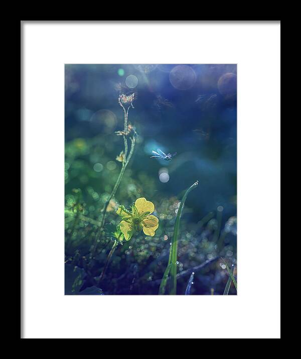Beautiful Framed Print featuring the photograph The Magic of Spring by Michele Cornelius