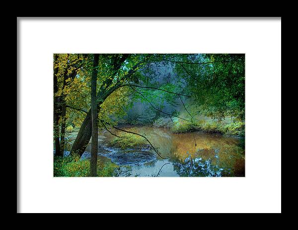 Trees Framed Print featuring the photograph The Morning Awakens by John Rivera