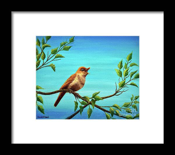 Nightingale Framed Print featuring the painting The Nightingale Still Sings by Sarah Irland