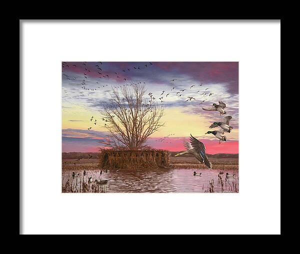 Mallards Framed Print featuring the painting The Oak Tree by Glenn Pollard