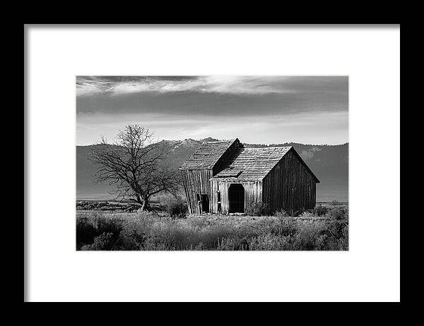 Abandoned Framed Print featuring the photograph The Old Barn Monochrome by Mike Lee