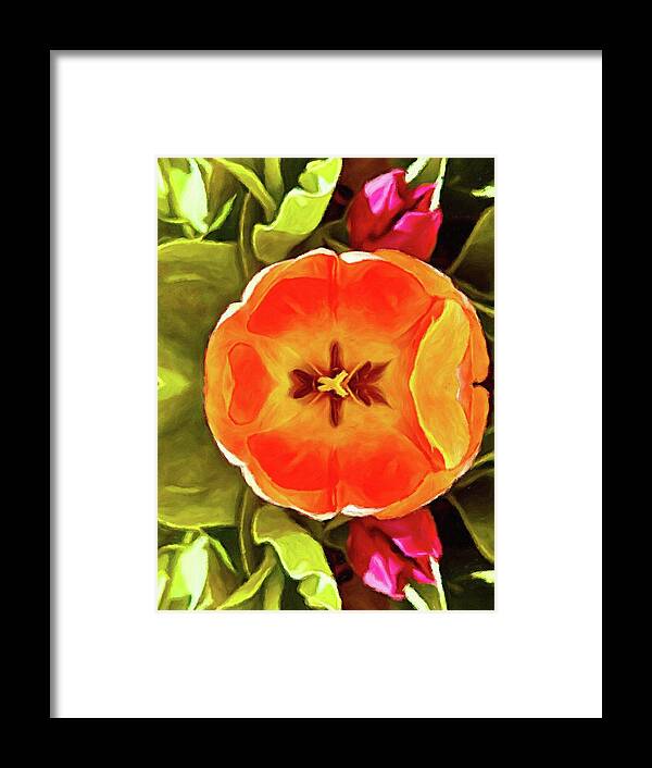 Pamela Storch Framed Print featuring the digital art The Orange Centered Flower Core by Pamela Storch