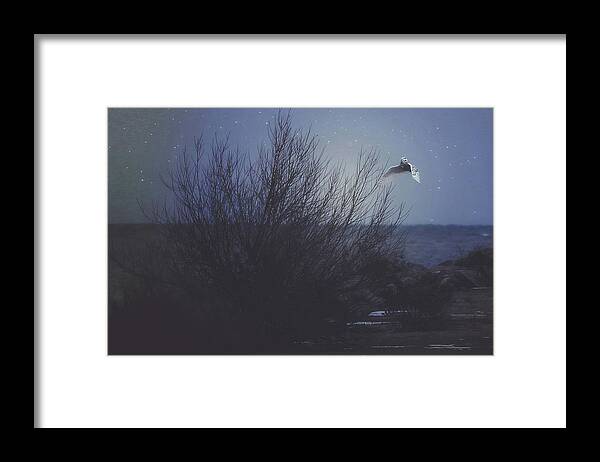 Cold Framed Print featuring the photograph The Owl by Carrie Ann Grippo-Pike