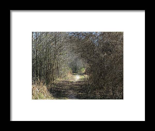 Path Framed Print featuring the photograph The Path Forward by Ed Williams
