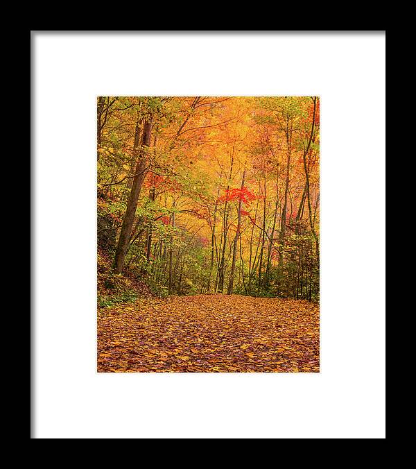 Tremont Framed Print featuring the photograph The Path Less traveled by Darrell DeRosia