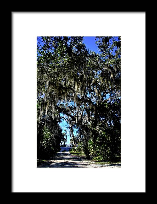 Path Framed Print featuring the photograph The Path to the Lagoon by George Taylor
