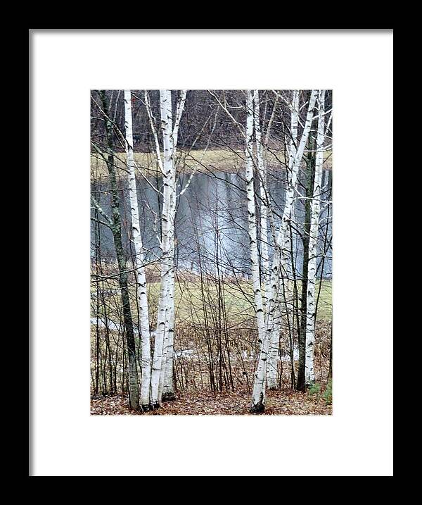 Landscape Framed Print featuring the photograph The Pond Opened For Song by Catherine Arcolio