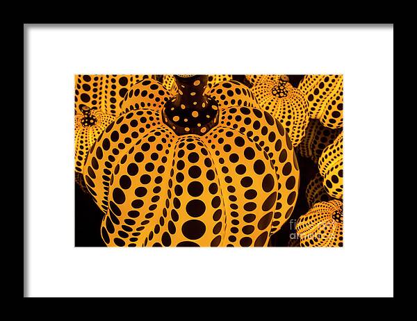 Dallas Museum Of Art Framed Print featuring the photograph The Pumpkins Art by Ivete Basso Photography