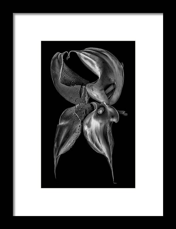 Published Framed Print featuring the photograph The Purity of Perversion II by Enrique Pelaez