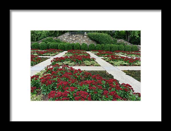 #quiltgarden#botanicals#ncarboretum#asheville#northcarolina#usa Framed Print featuring the photograph The Quilt Garden by Katherine Y Mangum