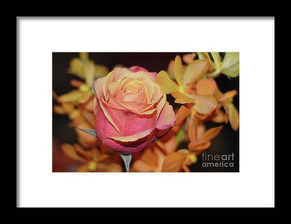 Peace Framed Print featuring the photograph The Rose Focus with Orchids by Diana Mary Sharpton