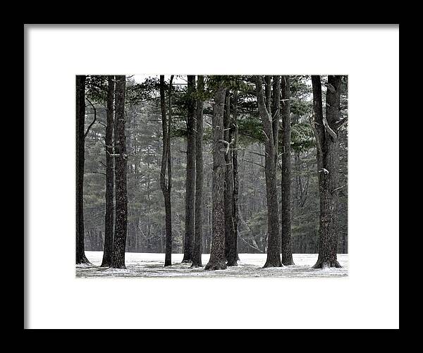 Deep Looking Framed Print featuring the photograph The Saying Seen by Catherine Arcolio